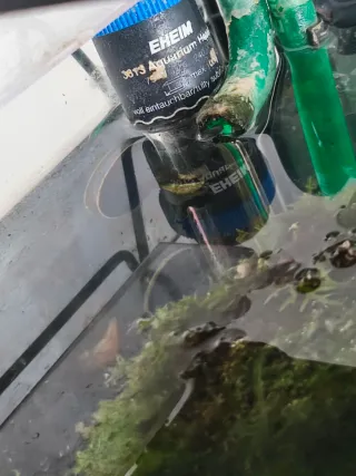 Acuario 60L con mueble, filtro, luz y calentador