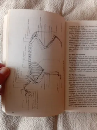 Cat owner enciclopedia of veterinaria medicine.