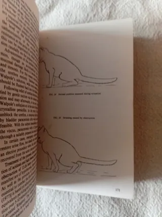 Cat owner enciclopedia of veterinaria medicine.