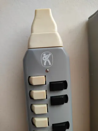 Hohner Melodica Student