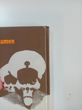 PERRAMUS DE BRECCIA Y SASTURAIN DE LUMEN, 1987.