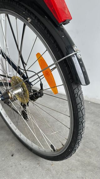 Bicicleta Peliser Joshua