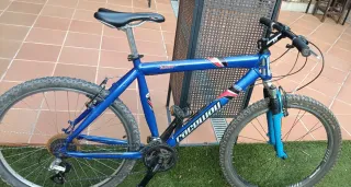 Bicicleta montaña 26 azul