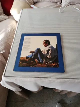 Disco Vinilo Pop Rock Internacional