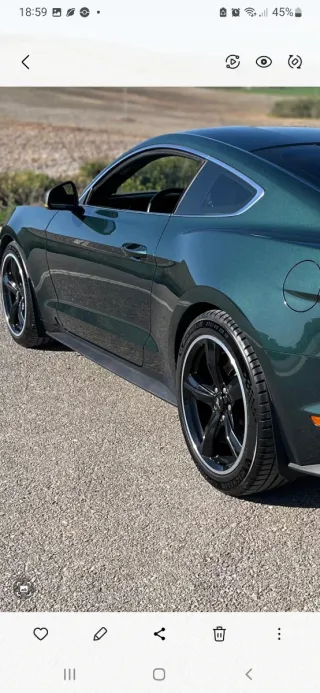 Faldillas guardabarros ford mustang