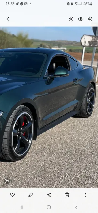 Faldillas guardabarros ford mustang
