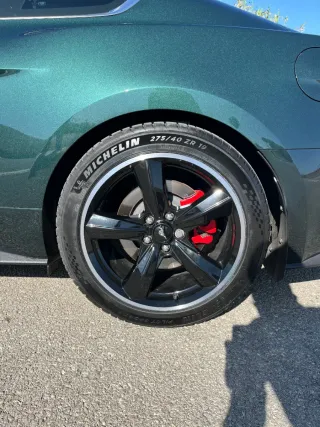 Faldillas guardabarros ford mustang