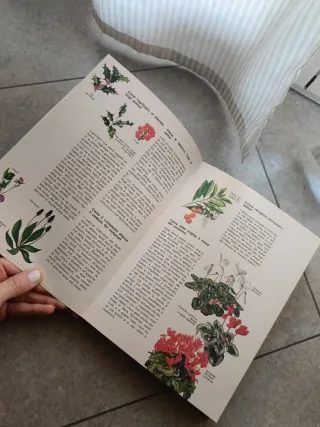 Libro ragazzi il libro del come