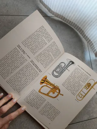 Libro ragazzi il libro del come