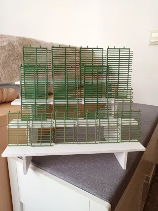 Lote Animales Comansi