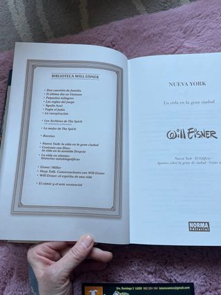 NUEVA YORK, LA VIDA EN LA GRAN CIUDAD (WILL EIS...