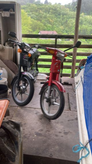Vespino F9 + MotoGAC