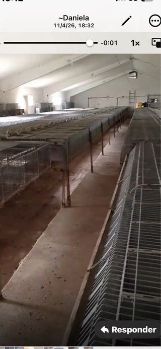 Jaulas industriales metálicas URGE SU VENTA