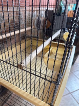 Jaula para pájaros con accesorios