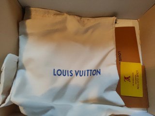 Louis Vuitton Skate Negras