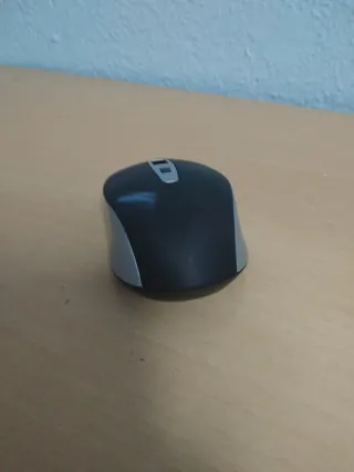 Ratón para piezas