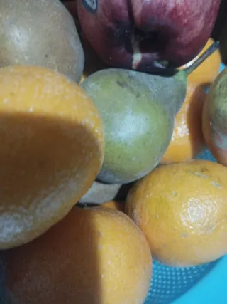 Ayudante de cocina