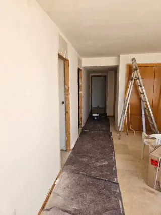Pintor económico profesional