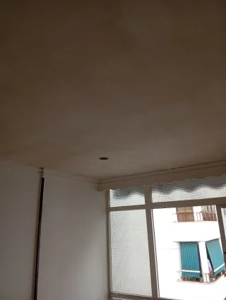 Pintor económico y profesional