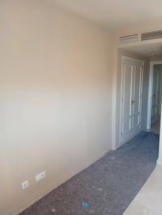 Pintor económico y profesional