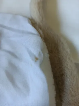 Mala com ursinhos de peluche