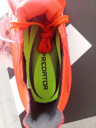 Adidas Predator 42