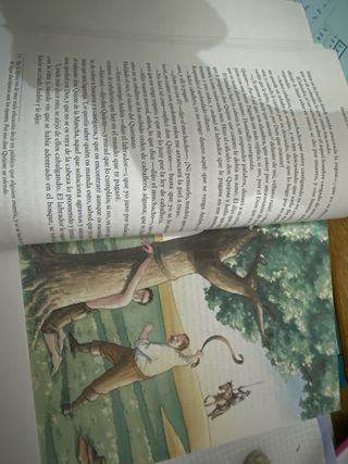 Don Quijote De La Mancha