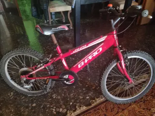 Bicicleta Infantil B-PRO JQ20 Roja