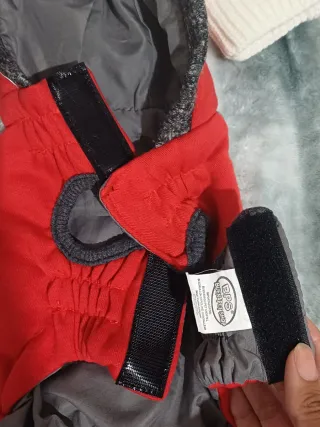 Cama para perro y ropa