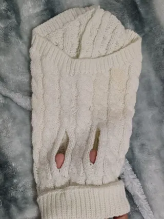 Cama para perro y ropa