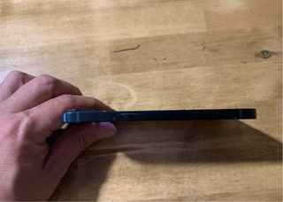 iPhone 13 256 GB Libre iCloud