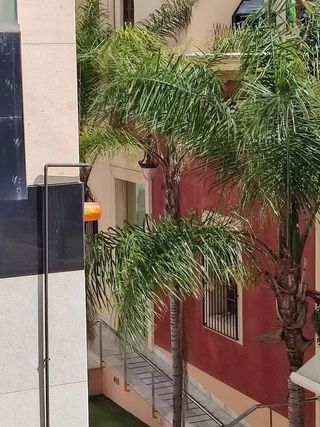 Piso en venta en Orihuela ciudad en Orihuela
