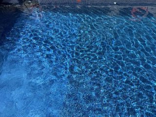 Servicios de Piscinas: Mantenimiento y Reparación