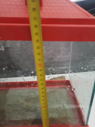 Acuario pequeño con tapa roja