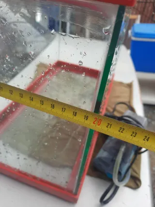 Acuario pequeño con tapa roja