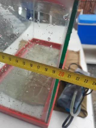 Acuario pequeño con tapa roja