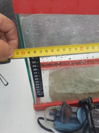Acuario pequeño con tapa roja
