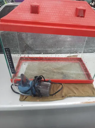 Acuario pequeño con tapa roja