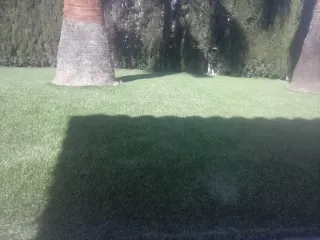 Tu jardín y tu hogar necesitan un cambio de nivel?