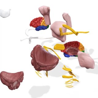 Impresion 3d Archivos. Diseñador Gráfico.Modelador