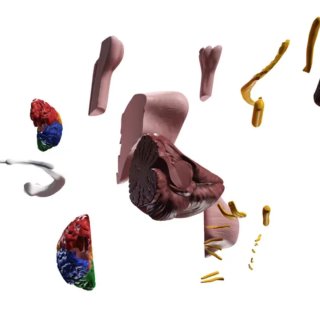 Impresion 3d Archivos. Diseñador Gráfico.Modelador
