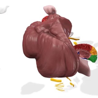 Impresion 3d Archivos. Diseñador Gráfico.Modelador