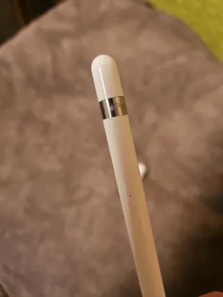 Apple Pencil (Lápiz Táctil)