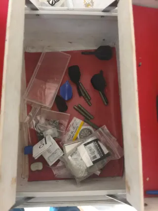 Equipo Profesional de Dardos