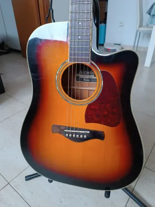 Guitarra Electroacústica Ibanez Dreadnought