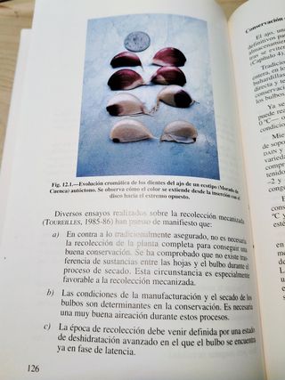 El ajo. libro