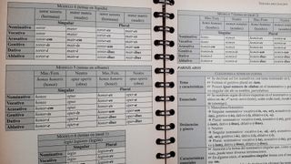 Chuletas para estudiar