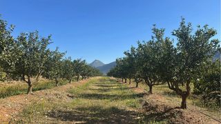 Oferta de trabajo agricola