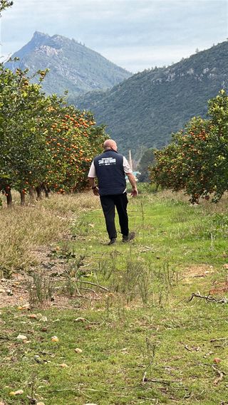Oferta de trabajo agricola