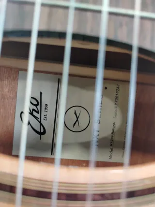 Guitarra Española Amplificada
